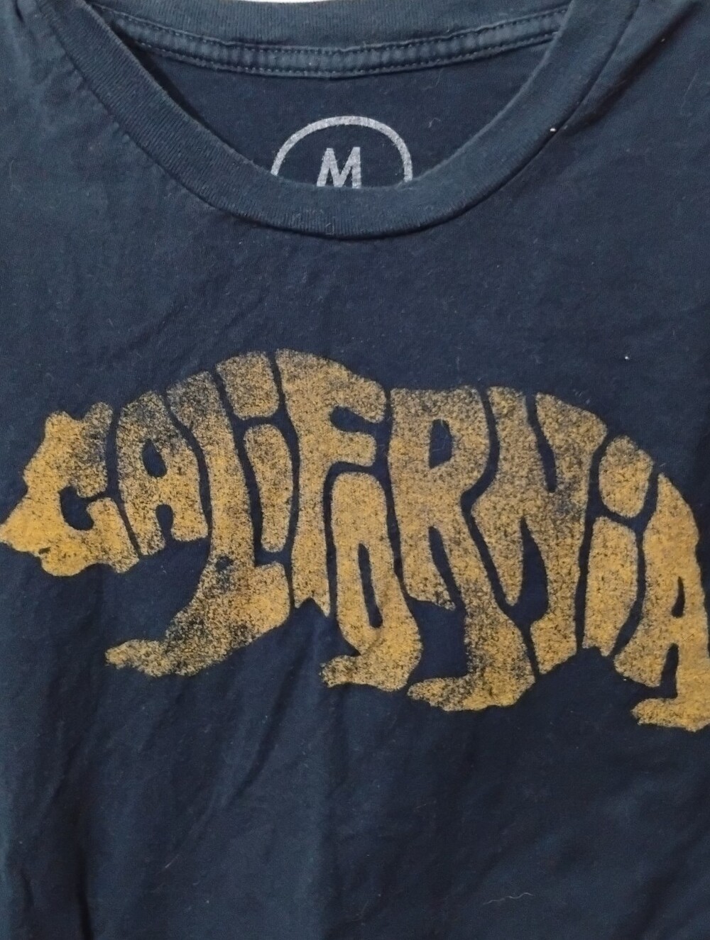 Men's California Bear Graphic Tee - Navy with Gold Print